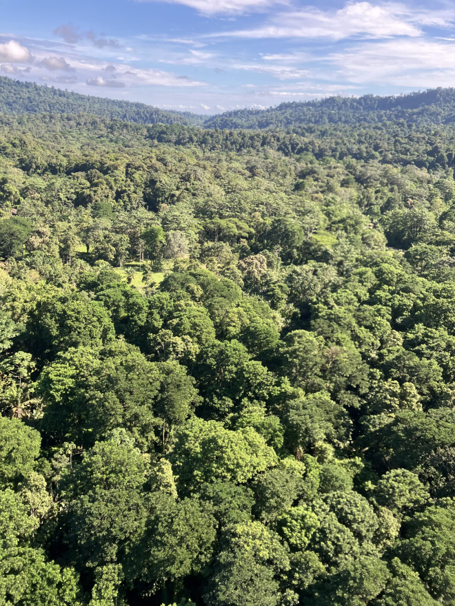 Bosque de las Madres