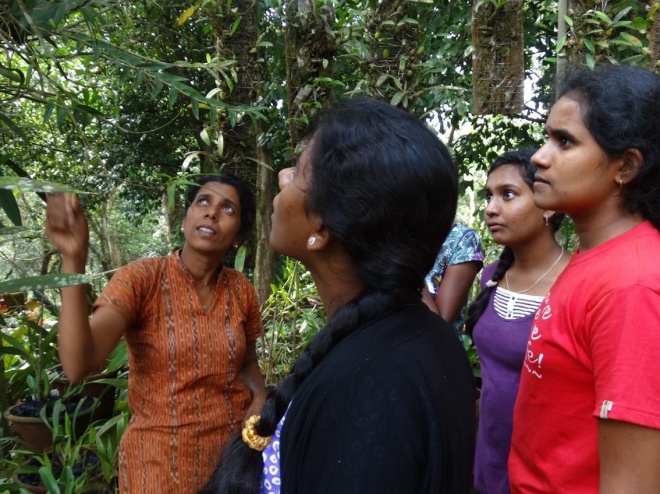 Suma teaching interns