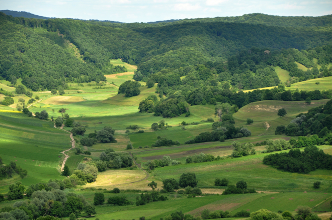 Villages, grassland and forest exist in harmony