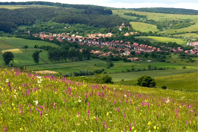 The landscape can only be kept alive by working with local farming communities