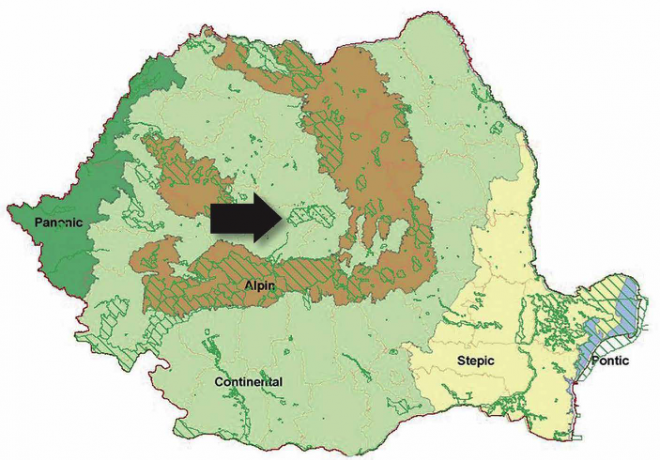 Map showing Tarnava Mare