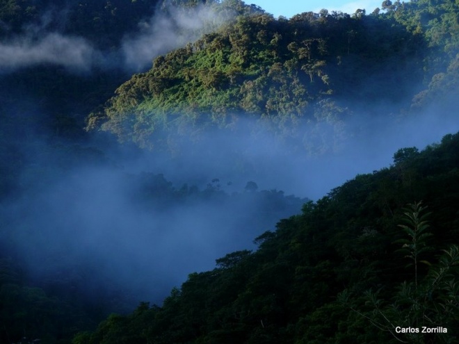 Forests and clouds P1330328 copy