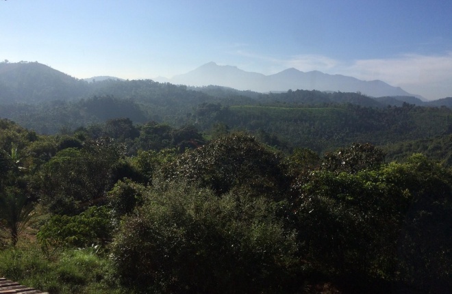 Gurukula landscape