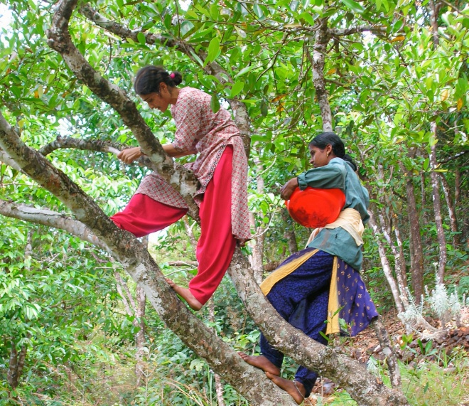 Women in tree