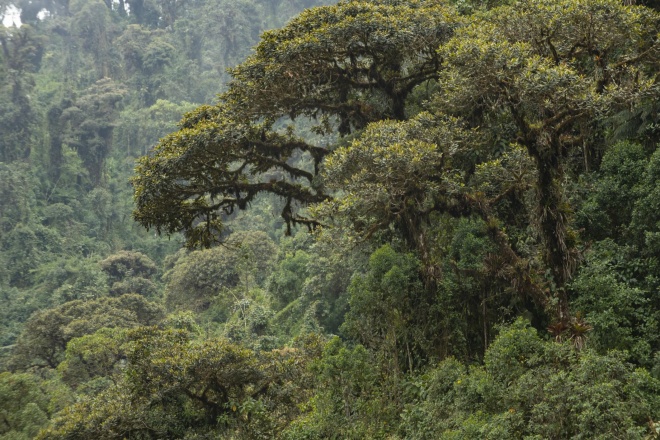 The steep slopes of the reserve, Murray Cooper