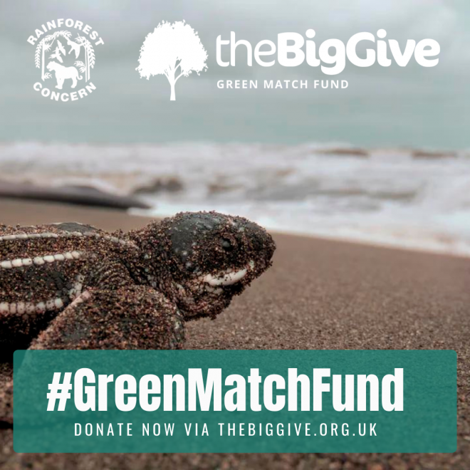 Green Match Fund RC