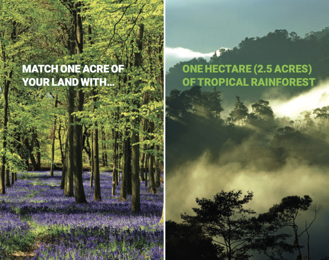 Screenshot 2022 05 12 at 11 18 21