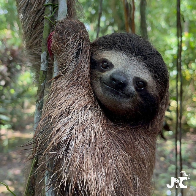 365178042 665988855554521 116465762118345218 n