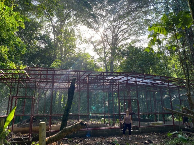 Completed enclosure funded by Rainforest Concern