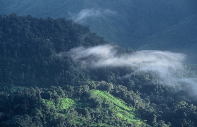 Santa Lucia R Eserve Ecuador 2002