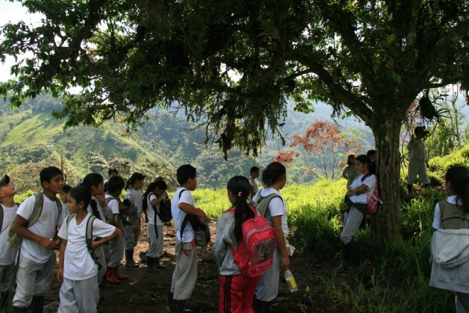 Paso Alto community forest conservation