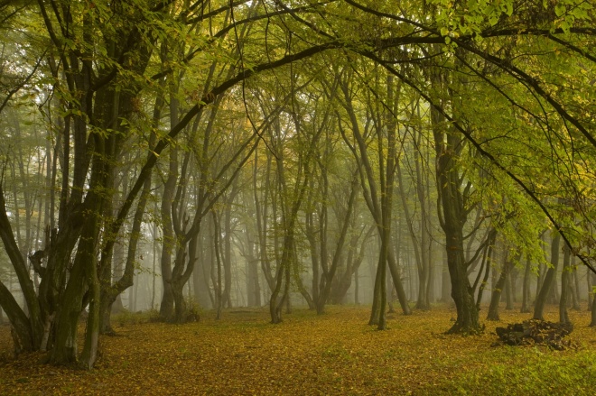 Ancient landscapes Romania